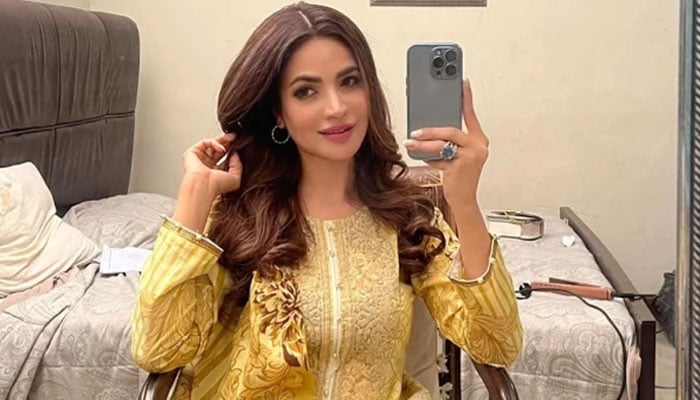 حمیرا اصغر کو زہر دینے کے شواہد نہیں ملے، کیمیکل رپورٹ