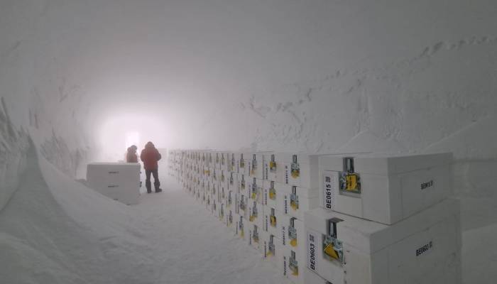 Antarcticas oldest ice arrives in UK to unlock Earths climate secrets