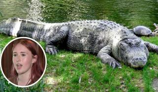 فلوریڈا: کم عمر لڑکی پر مگرمچھ کا حملہ، حاضر دماغی نے جان بچالی