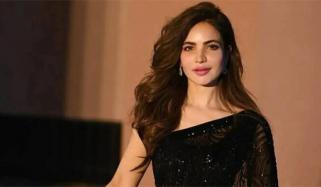  اداکارہ حمیرا اصغر کی موت کے بعد بننے والے واٹس ایپ سپورٹ گروپ کا مقصد کیا ہے؟ 