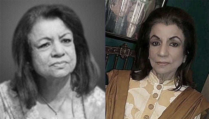 یاسمین طاہر—فائل فوٹوز