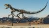 ڈائنوسار کا ڈھانچہ 30 اعشاریہ 5 ملین ڈالر میں فروخت