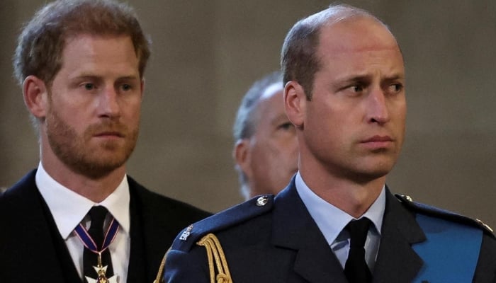 Prince William, Prince Harry lose key family member amid reunion speculations