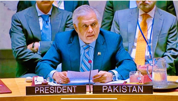 پاکستان مسئلہ فلسطین کیلئے اصولی موقف اور یکجہتی کے عزم کا اعادہ کرتا ہے، اسحاق ڈار