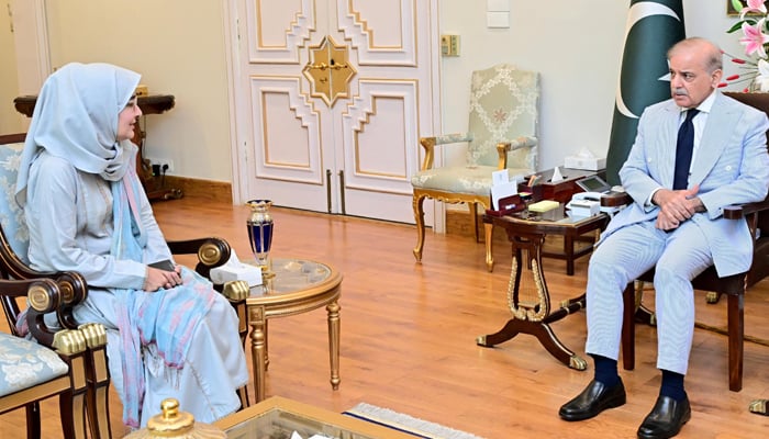 فوٹو بشکریہ سوشل میڈیا