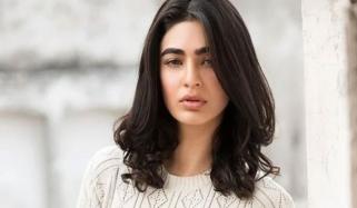 ’کیا ہر عورت ساڑھی اور زیور میں سوتی ہے؟‘ صحیفہ جبار کی پاکستانی ڈراموں پر تنقید