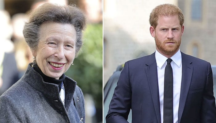 Princess Anne to ‘never’ forgive Prince Harry’s betrayal toward Royal family