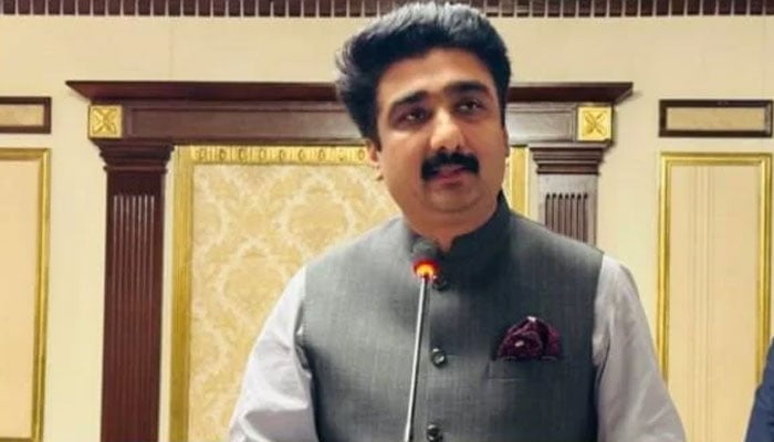 صوبائی وزیر ثقافت سندھ ذوالفقار علی شاہ—فائل فوٹو