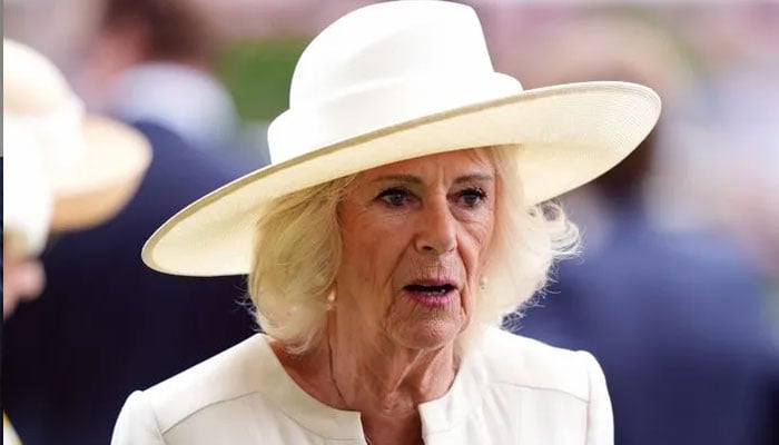 Queen Camilla lights up King George Racing Weekend at Ascot in white dress