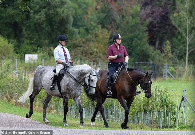 Image: Daily Mail