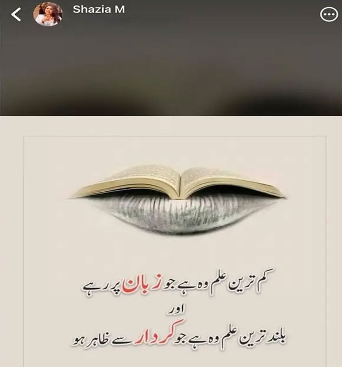 منسا ملک مجھے جان سے مارنے کی دھمکیاں دے رہی ہیں: علیزے شاہ