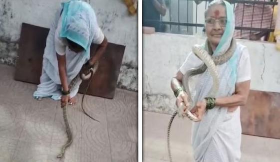 70 سالہ سپر دادی نے سانپ پکڑ کر گلے میں ڈال لیا، ویڈیو وائرل