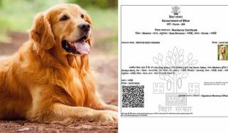  ووٹر لسٹوں میں کتے کا رہائشی سرٹیفیکٹ سامنے آگیا 