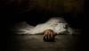 والد کا رشتہ داروں پر بیٹی کو قتل کرنے کا الزام، مقدمہ درج 