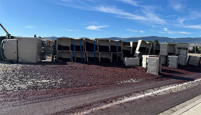 ٹرک الٹنے سے واشنگٹن کی سڑک چیریوں سے ڈھک گئی