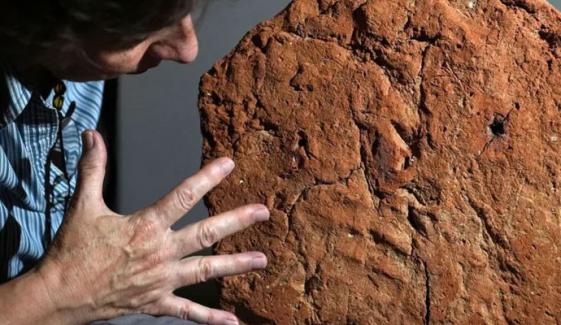 مصری نوادرات پر 4 ہزار سال پرانا ہاتھ کا پُر اسرار نشان دریافت 