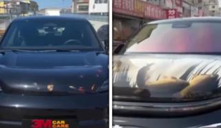 چین: کار کا بونٹ مچھلی گھر میں تبدیل، ویڈیو وائرل