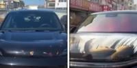 چین: کار کا بونٹ مچھلی گھر میں تبدیل، ویڈیو وائرل