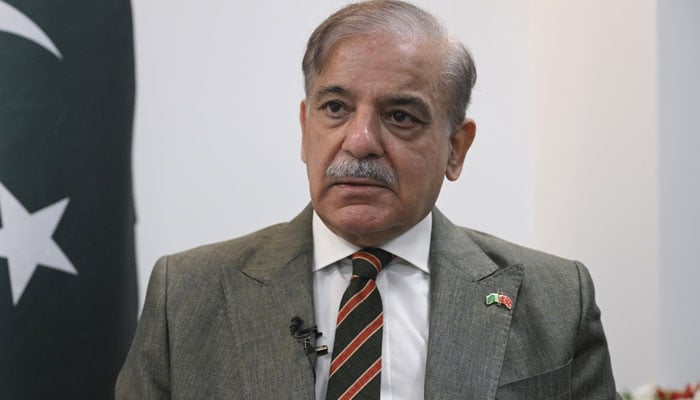وزیرِاعظم شہباز شریف — فائل فوٹو