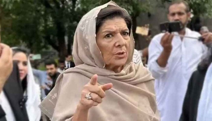 علیمہ خان — فائل فوٹو