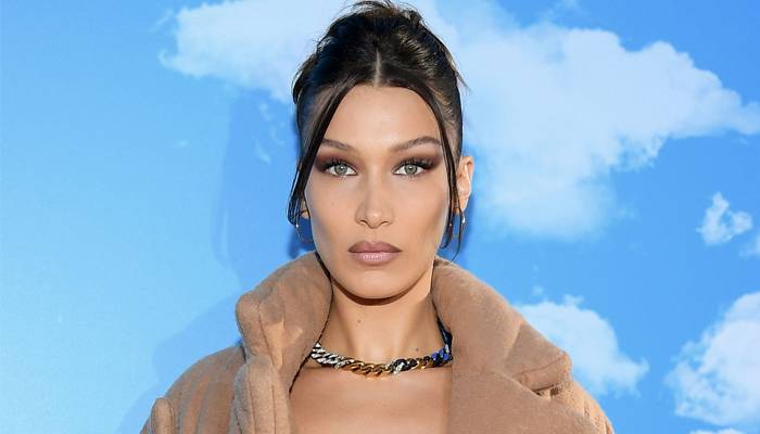 Bella Hadid announces sweet sisters baby news