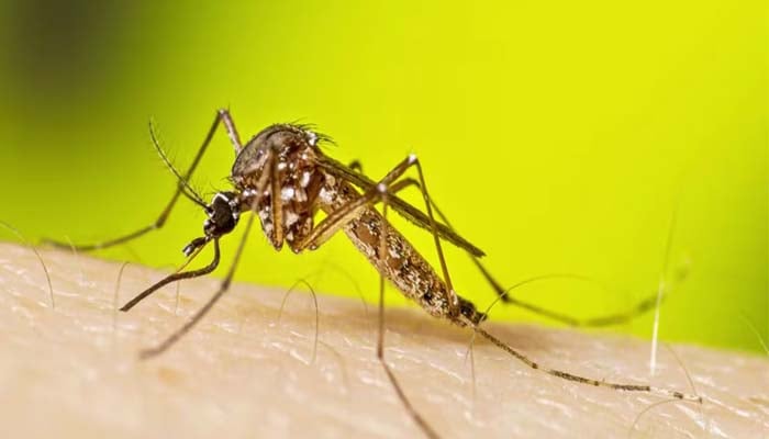 Wisconsin reports first confirmed case of West Nile Virus of 2025