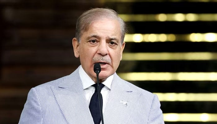 شہباز شریف — فائل فوٹو