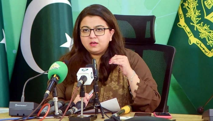 شزا فاطمہ—فائل فوٹو