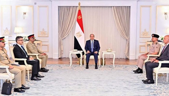 جنرل ساحر شمشاد مصری صدر السیسی سے ملاقات کر رہے ہیں(تصویر سوشل میڈیا)۔