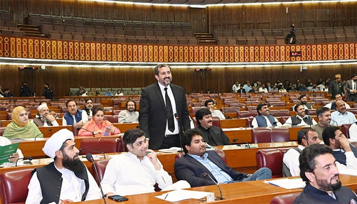 بیرسٹر عمیر نیازی : فوٹو فیس بک
