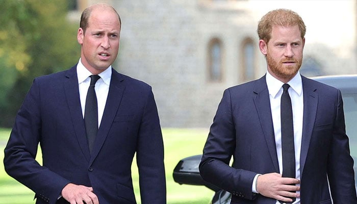 Prince Harry faces off with Prince William over new family role