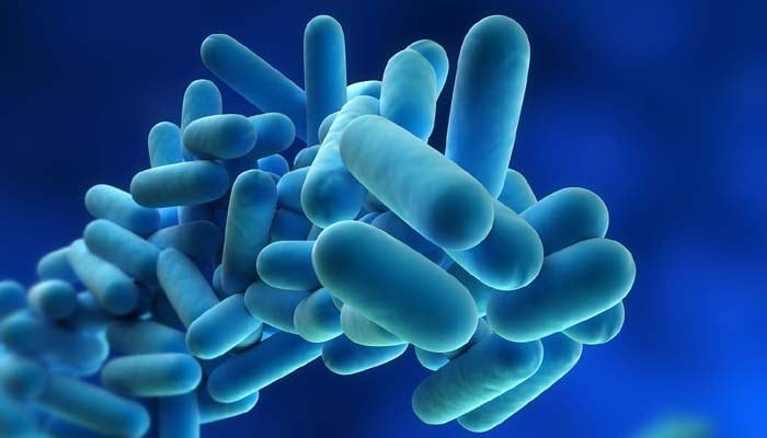 Legionnaires’ disease outbreak: One person dies in Harlem as cases surge