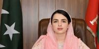 سینیٹ ضمنی الیکشن: حکومتی حمایت یافتہ آزاد امیدوار مشال یوسفزئی کامیاب