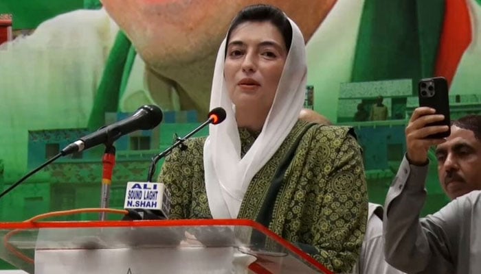 21 لاکھ سیلاب متاثرین کو گھر دے رہے ہیں، آصفہ