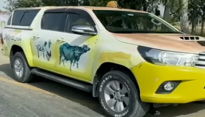 حافظ آباد: بارش اور سیلابی پانی سے شہریوں اور جانوروں میں بیماریاں پھیلنے لگیں