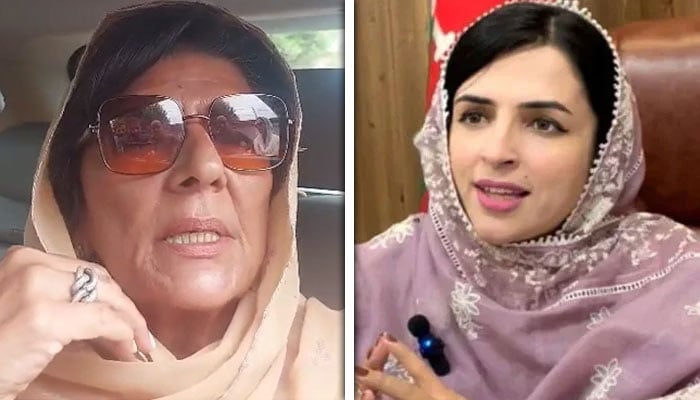 مشعال یوسفزئی سینیٹر بن گئی ہیں، آپ خلاف تھیں؟ صحافی کا علیمہ خان سے سوال
