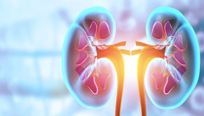 FDA grants approval to Empaveli for rare kidney disease