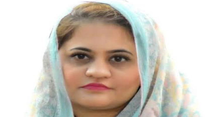 ترجمان سندھ حکومت سعدیہ جاوید—فائل فوٹو