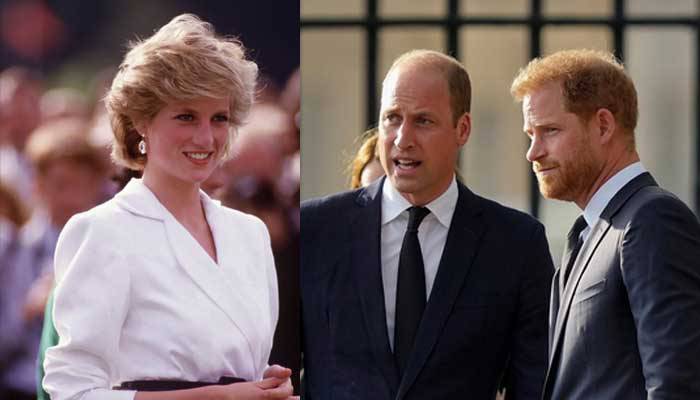 Princess Diana’s decision to send Prince William, Prince Harry to public school