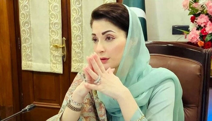 وزیراعلیٰ پنجاب مریم نواز - فوٹو: فائل