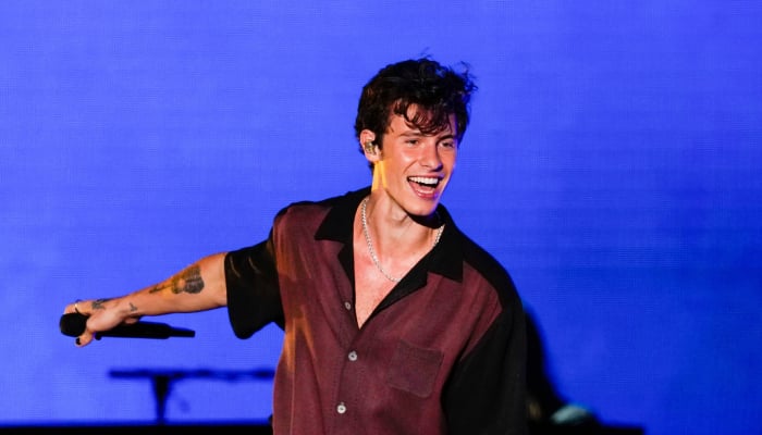 Shawn Mendes sparks dating buzz as he cozies up to a woman after concert