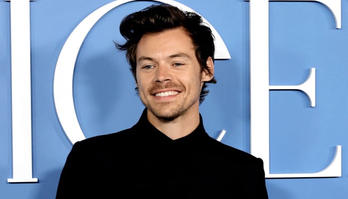 Harry Styles spotted with Belgian designer weeks after mystery woman kiss buzz