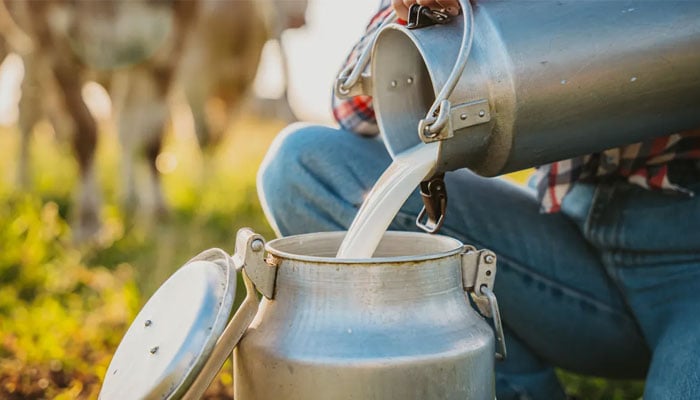 Milk supply under scrutiny after 21 people got sick