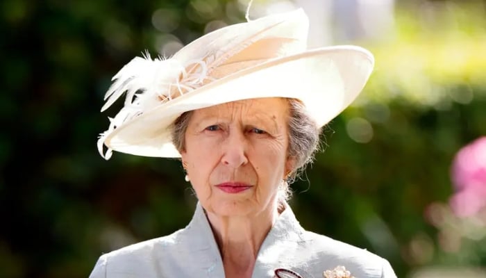 Princess Anne touches down in Dublin for diplomatic engagements