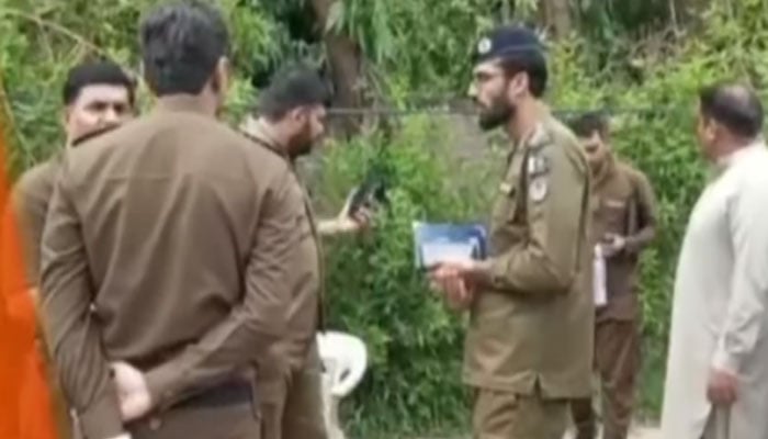 فوٹو: اسکرین گریب