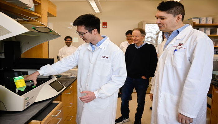 Low lithium levels may protect ageing brain and prevent Alzheimer’s, study