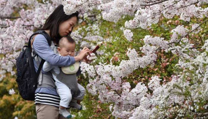 Japan sees record population decline as births hit historic low