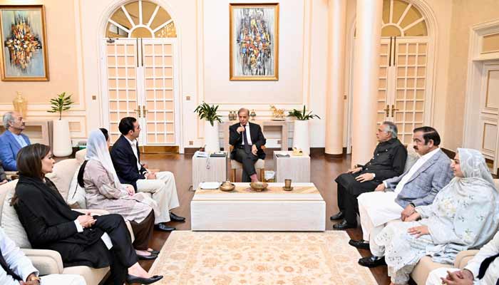 فوٹو پی آئی ڈی