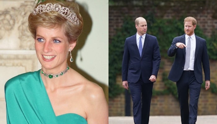 Princess Diana spared from seeing Prince William, Harry at odds