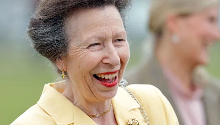 Princess Anne shows her modern side in stylish above the knee pencil skirt